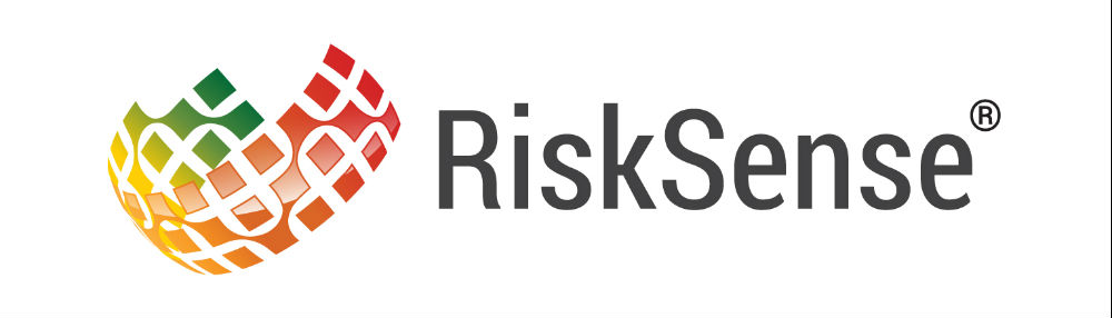 RiskSense Horizontal Transparent L - Outline