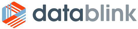 Datablink company logo