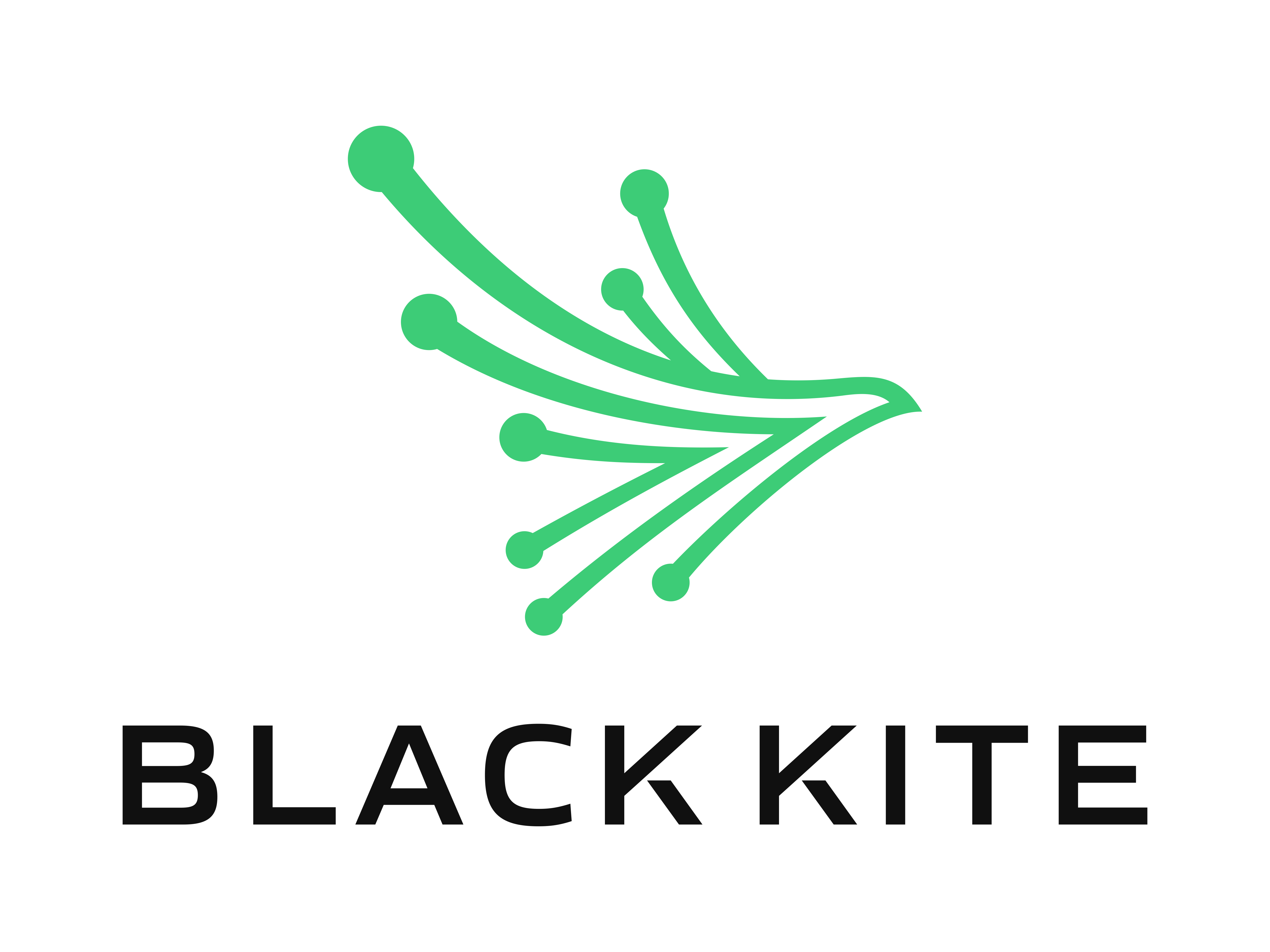 Black Kite Logo - Vertical for Light BG