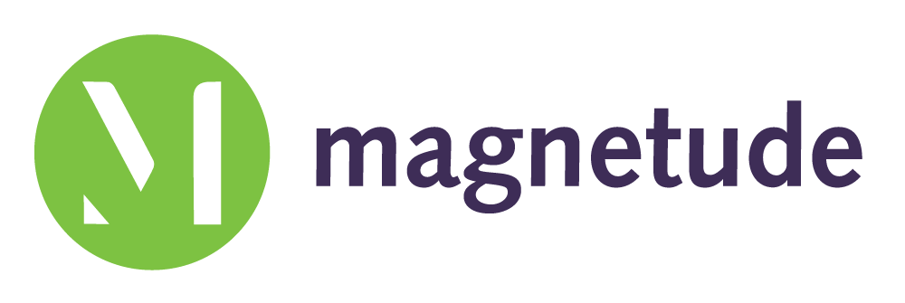 Magnetude-Logo-horizontal