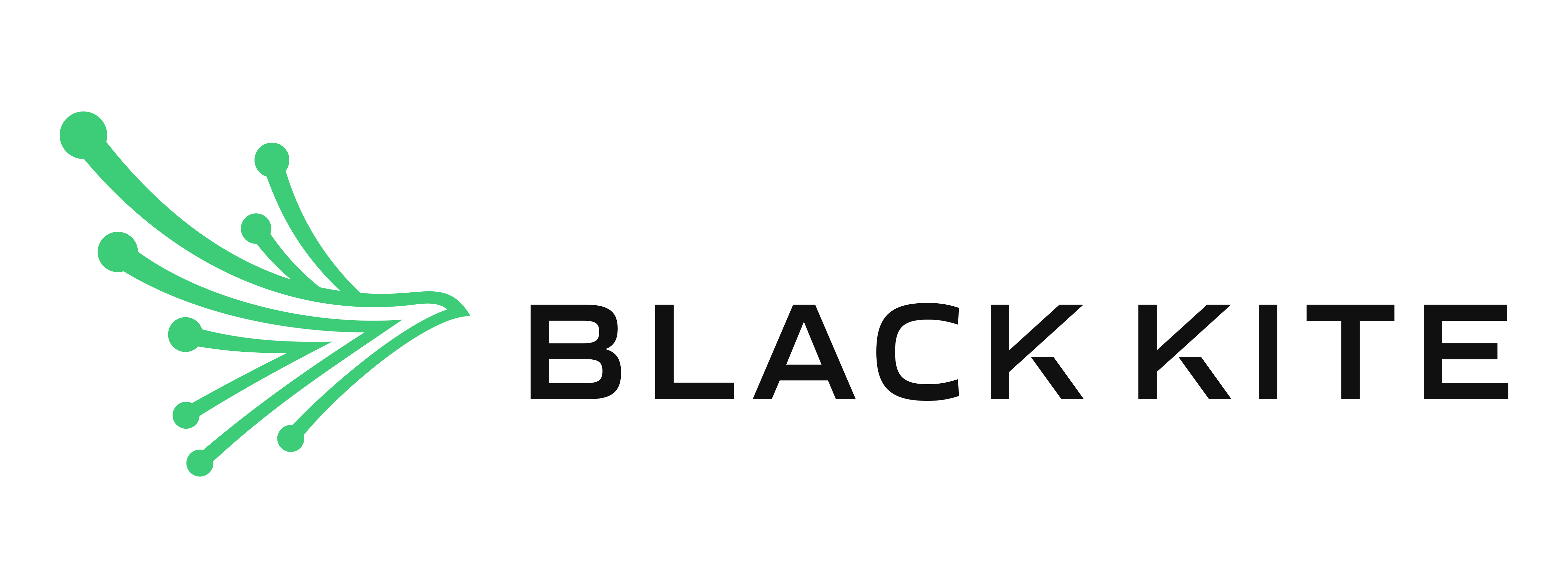 Black-Kite-Logo-Horizontal-for-Light-BG-optimize