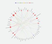 FORCEPOINT-AI MESH2