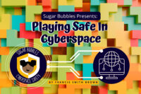 Playing Safe in Cyberspace